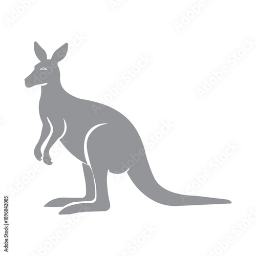 kangaroo
