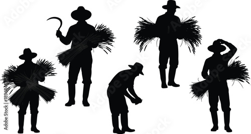 Black silhouette collection of traditional farmers holding rice bundles and sickles harvesting grain crops vector illustration isolated on white background for agriculture concept