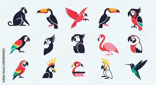 Collection of Tropical Birds and Monkey Illustrations.