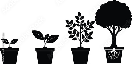 Black silhouette stages of plant growth in pots from sprout to mature tree with roots isolated on white background for business development and education (25 words)