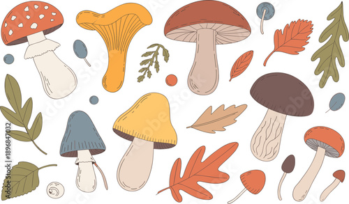 Mushroom Variety Autumn Leaves Forest Floor Collection Stock Media