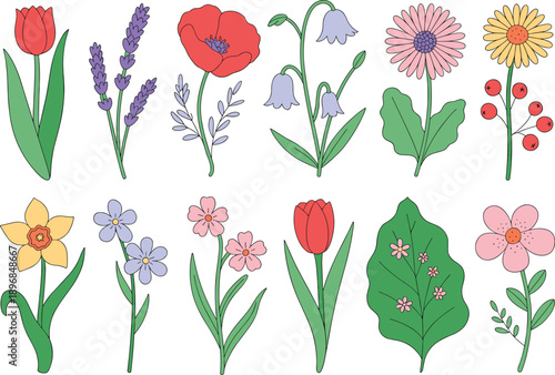 Various Spring Flowers Collection Isolated on White Background Stock Media