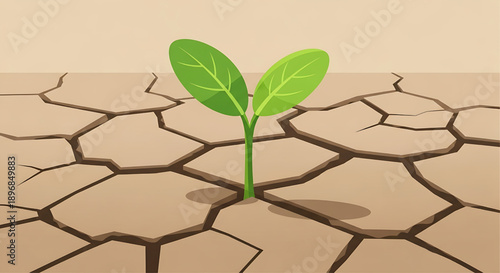 a small plant growing from dry cracked earth, illustrating hope and resilience in harsh conditions