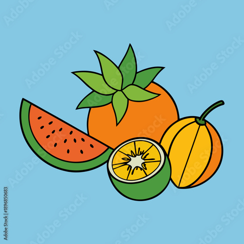 illustration of orange fruit