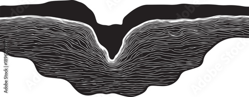 Detailed grayscale illustration of a wing's textured surface closeup