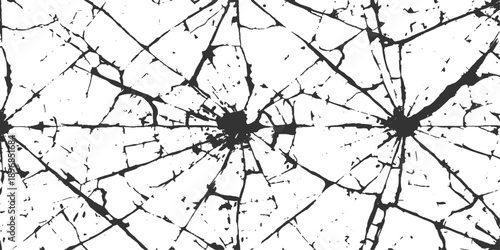 A macro vector illustration of a broken glass spider web pattern on black, featuring the dangerous silhouette of a predator arachnid insect trapped in its intricate cobweb net for Halloween