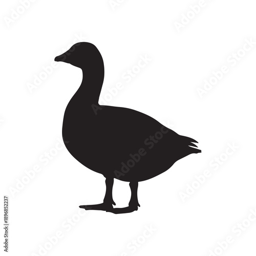 Silhouette of a grey goose on a white background.
