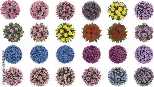 Flat vector set of colorful flowering garden bushes and blooming shrubs isolated on white for nature landscape design and decor.