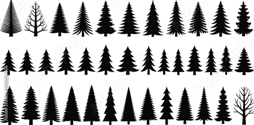 Set of black pine tree silhouettes and coniferous forest elements for nature landscape design winter Christmas and mountain wilderness outdoors vector
