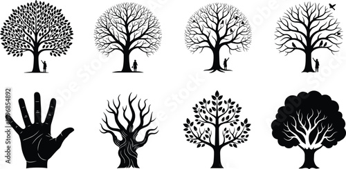 WebSet of Detailed Tree Silhouettes Including Oak Pine and Maple Isolated on White Background for Landscape Architecture and Garden Design
