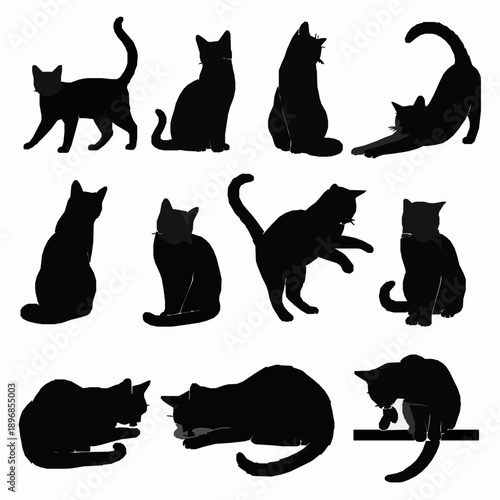 Black cat silhouette vector set with elegant feline poses on white background