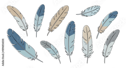 Collection of various colorful bird feathers in a hand-drawn style.