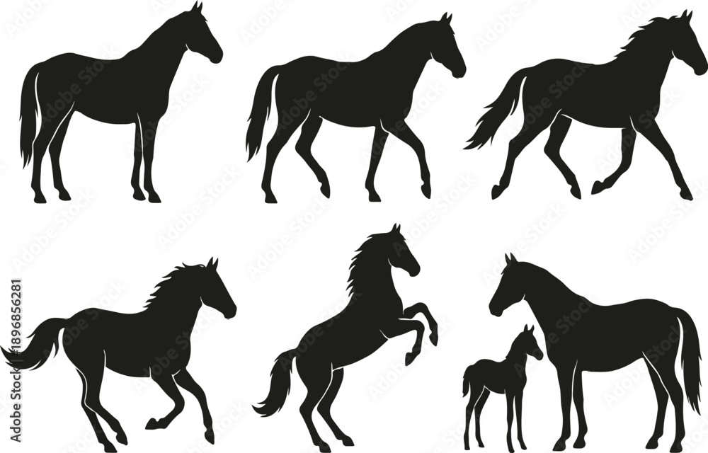 Fototapeta premium 2026 Chinese New Year Year of the Horse Calendar and Poster with Red Zodiac Calligraphy