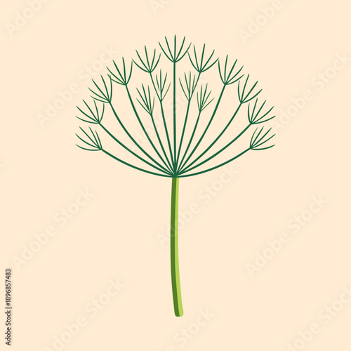 Stylized dill plant with intricate branching against a light beige background