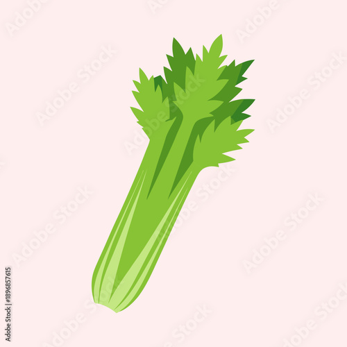 Illustration of fresh green celery stalk against light pink background image