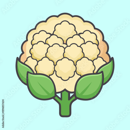 Illustration of a fresh cauliflower with leaves on a light blue background