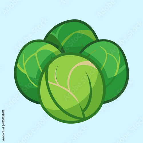 Four fresh cartoon Brussels sprouts stacked on a light blue background