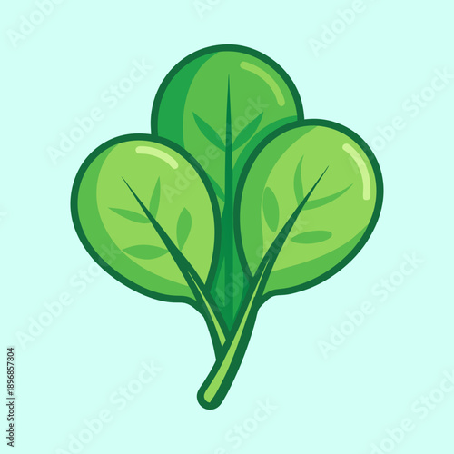 vector illustration of a baby spinach