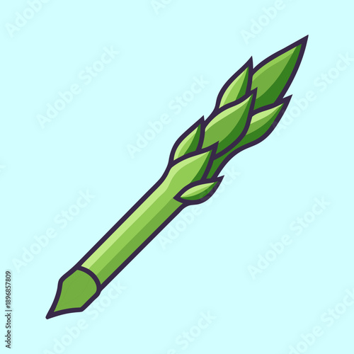 vector illustration of a asparagus