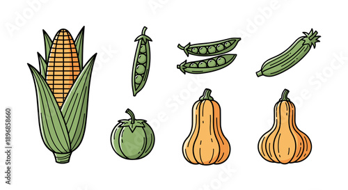 A vibrant collection of freshly harvested garden vegetables, including corn, peas, zucchini, eggplant, and butternut squash, presented as outlined illustrations on a clean white background.