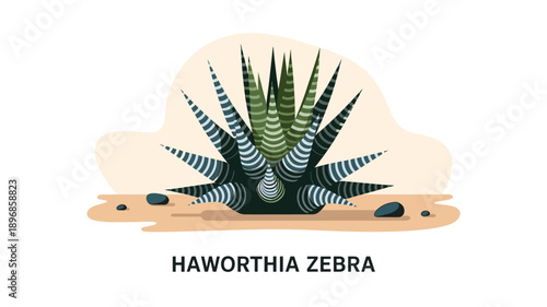 A vector graphic illustration of a Haworthia Zebra plant in a desert landscape with a minimalist design