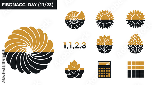 Graphic illustrating Fibonacci Day 1123 with patterns numbers and natural objects