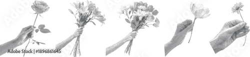 Human hands holding fresh flowers and bouquets on a white background. Gentle gestures express care, beauty, and celebration. Ideal for floral, romantic, and lifestyle design concepts.