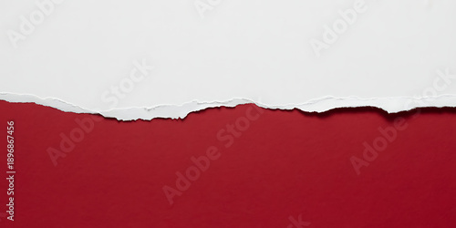 Wallpaper Mural Delicate Leaf and Branch Shadows Casting on a Warm Beige Wall for Natural Minimalist Backdrop and Organic Brand Presentation Torontodigital.ca