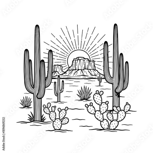 Desert landscape with saguaro cacti and other desert plants under a rising sun.