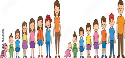Vector illustration of human growth stages showing baby, toddler, child, teenager to adult male and female characters, flat cartoon family development timeline