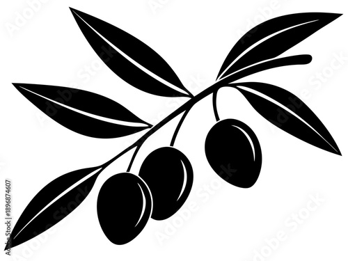Black Olive Branch Silhouette Vector – Mediterranean Fruit and Leaves Icon