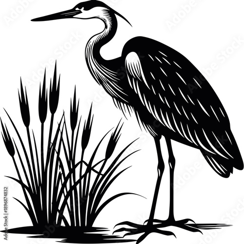 Great Blue Heron Silhouette Vector – Elegant Water Bird with Bulrush Reeds Icon