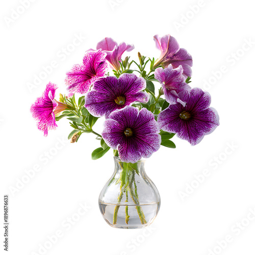 Petunia with vase png