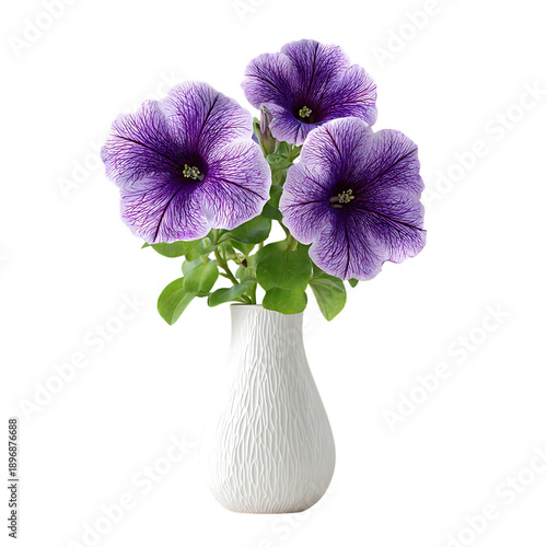 Petunia with vase png