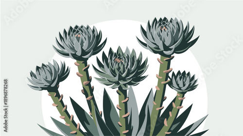 A minimalist vector illustration of a succulent plant with green leaves and stems on a light green background