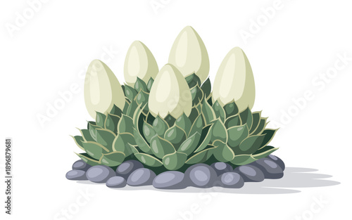 A vector graphic illustration of a succulent plant with white flowers and green leaves growing out of gray rocks