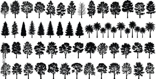Tree silhouette collection, botanical vector set, deciduous coniferous palm illustration, forest nature icons, landscape design elements - flat vector illustration