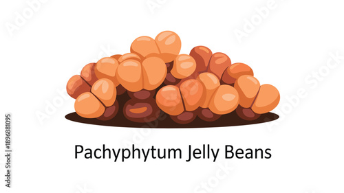 A vector graphic illustration of a pile of Pachyphytum Jelly Beans on a white background