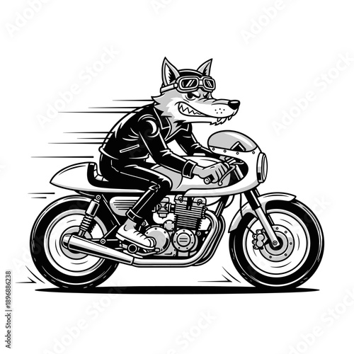 Anthropomorphic Wolf Character Riding a Cafe Racer Motorcycle.