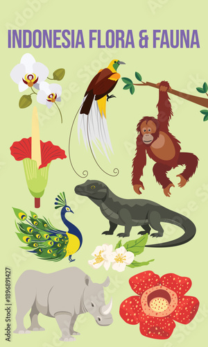 INDONESIA FLORA AND FAUNA