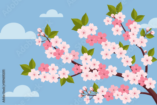 A beautiful illustration of a cherry blossom tree branch with pink and white flowers against a clear blue sky and fluffy clouds, depicting spring.