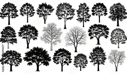 Deciduous tree silhouette vector collection with detailed foliage shapes for nature and art design