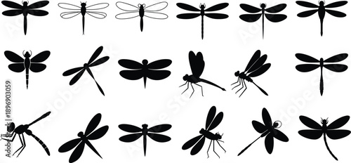 Collection of black silhouette of various dragonfly species in different poses and orientations against a white background