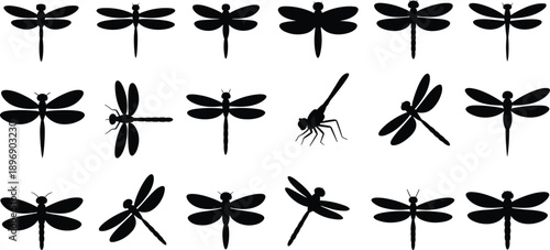 Comprehensive set of black silhouette featuring various dragonfly species in a range of flying and stationary poses on white