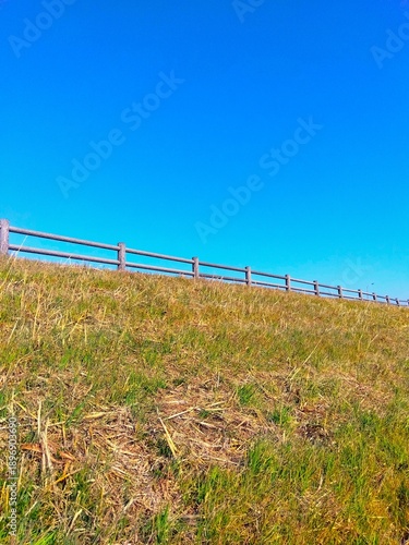 Wallpaper Mural 冬の除草後の若草生える放水路土手風景 Torontodigital.ca