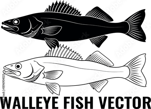 Black Silhouette and White Outline Walleye Fish Vector Illustration Set for Freshwater Fishing Tournaments Angling Sports Wildlife Conservation and Aquatic Nature Graphic Design