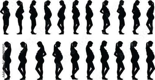 Pregnant woman silhouette vector set showing side view maternity poses representing pregnancy stages, prenatal growth, body changes, motherhood journey, and health concepts