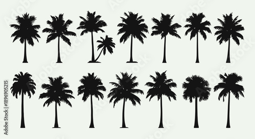 Collection of Diverse Palm Tree Silhouettes for Tropical and Exotic Design Projects