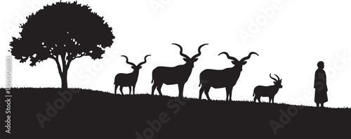 Black silhouette of a tree and several antelopes with spiraling horns standing on a grassy hill next to a person also transparent background