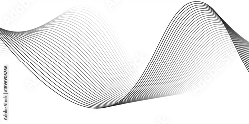 Abstract vector background with black wavy lines. EPS10